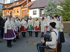 Březová od ledna do prosince